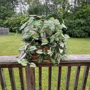 Decorative Green and Pink Leaf Basket